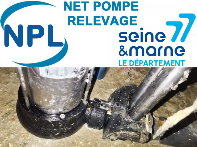 Pompes de Relevage Seine-et-Marne 77: Installation, Entretien, Réparation
